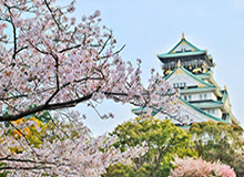 世界杯客户端下载安装-2026上海马拉松12月6日开跑，4月29日-5月29日报名，规模提升至30000人，还将首次独立举办健康跑